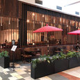 sanrakuoakridge1